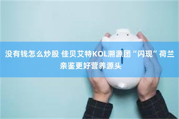 没有钱怎么炒股 佳贝艾特KOL溯源团“闪现”荷兰 亲鉴更好营养源头