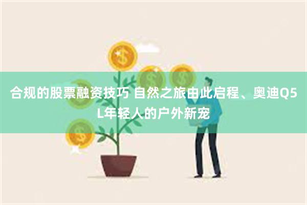 合规的股票融资技巧 自然之旅由此启程、奥迪Q5L年轻人的户外新宠