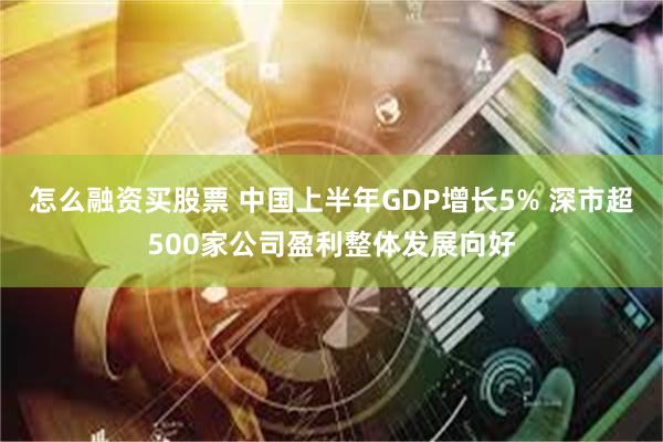 怎么融资买股票 中国上半年GDP增长5% 深市超500家公司盈利整体发展向好