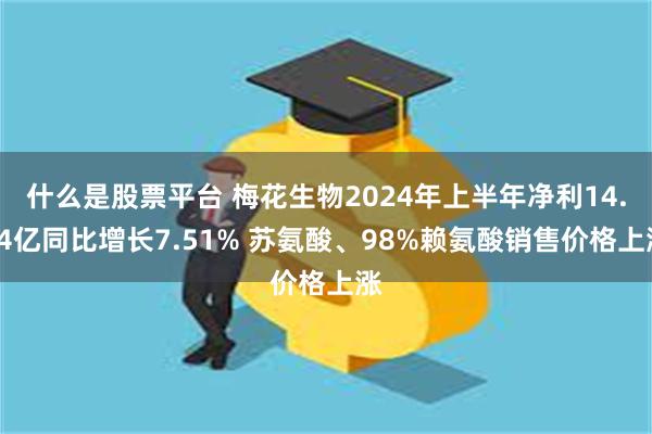 什么是股票平台 梅花生物2024年上半年净利14.74亿同比增长7.51% 苏氨酸、98%赖氨酸销售价格上涨