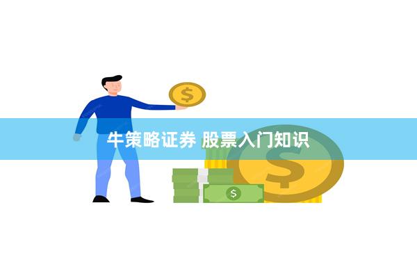 牛策略证券 股票入门知识