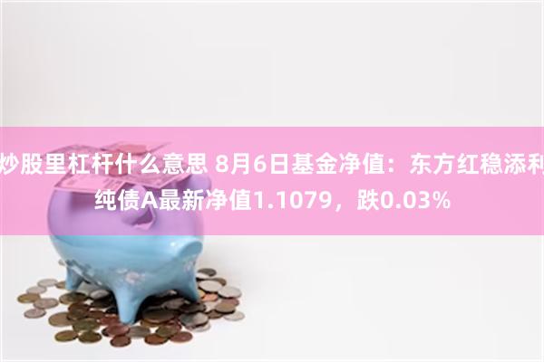 炒股里杠杆什么意思 8月6日基金净值：东方红稳添利纯债A最新净值1.1079，跌0.03%
