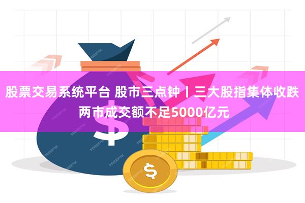 股票交易系统平台 股市三点钟丨三大股指集体收跌 两市成交额不足5000亿元