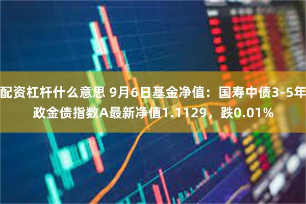 配资杠杆什么意思 9月6日基金净值：国寿中债3-5年政金债指数A最新净值1.1129，跌0.01%