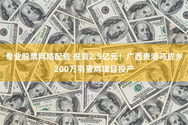 专业股票网络配资 投资2.5亿元！广西贵港马皮乡200万羽蛋鸡项目投产