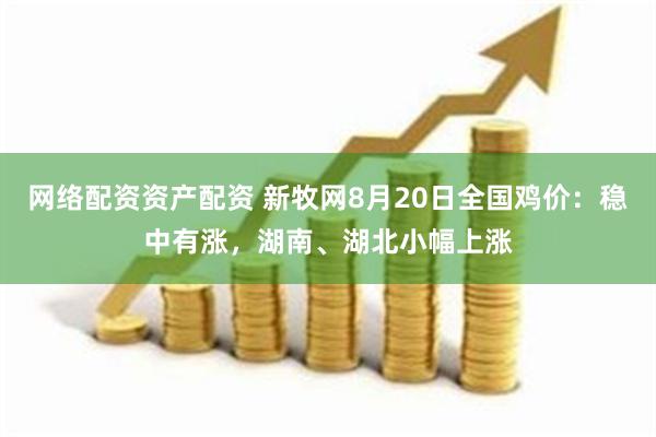 网络配资资产配资 新牧网8月20日全国鸡价：稳中有涨，湖南、湖北小幅上涨