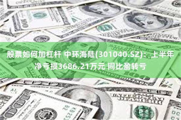 股票如何加杠杆 中环海陆(301040.SZ)：上半年净亏损3686.21万元 同比盈转亏