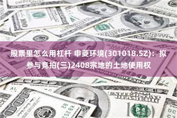 股票里怎么用杠杆 申菱环境(301018.SZ)：拟参与竞拍(三)2408宗地的土地使用权