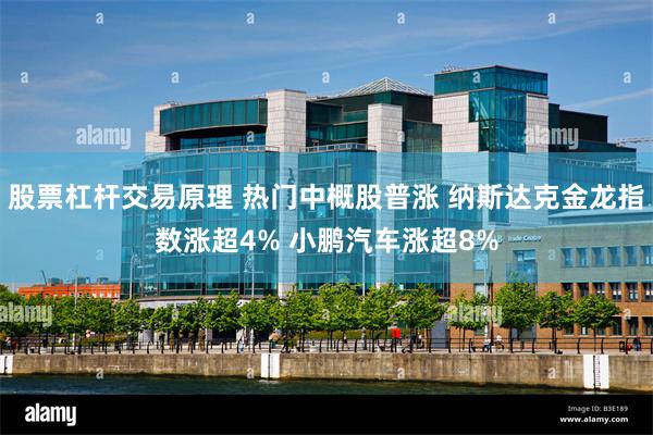 股票杠杆交易原理 热门中概股普涨 纳斯达克金龙指数涨超4% 小鹏汽车涨超8%