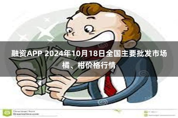 融资APP 2024年10月18日全国主要批发市场橘、柑价格行情