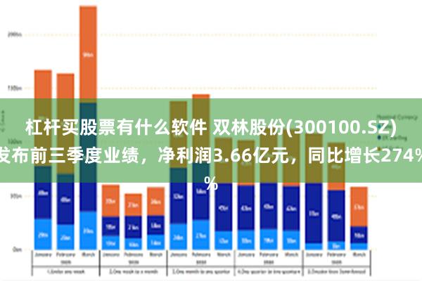 杠杆买股票有什么软件 双林股份(300100.SZ)发布前三季度业绩，净利润3.66亿元，同比增长274%