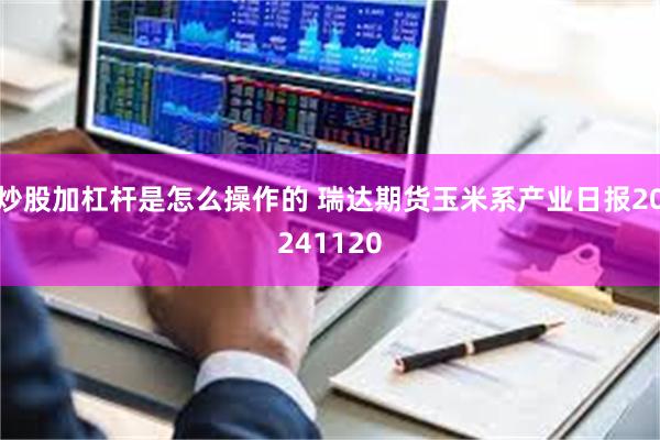 炒股加杠杆是怎么操作的 瑞达期货玉米系产业日报20241120