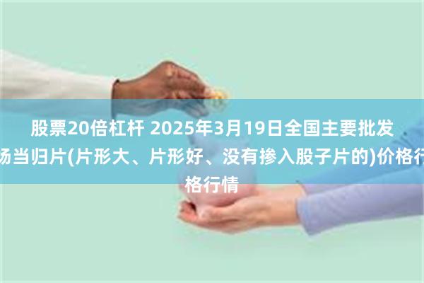 股票20倍杠杆 2025年3月19日全国主要批发市场当归片(片形大、片形好、没有掺入股子片的)价格行情