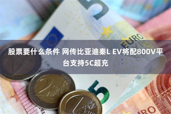 股票要什么条件 网传比亚迪秦L EV将配800V平台支持5C