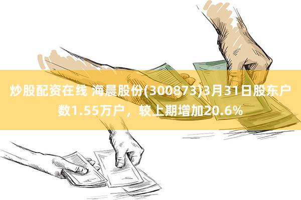 炒股配资在线 海晨股份(300873)3月31日股东户数1.