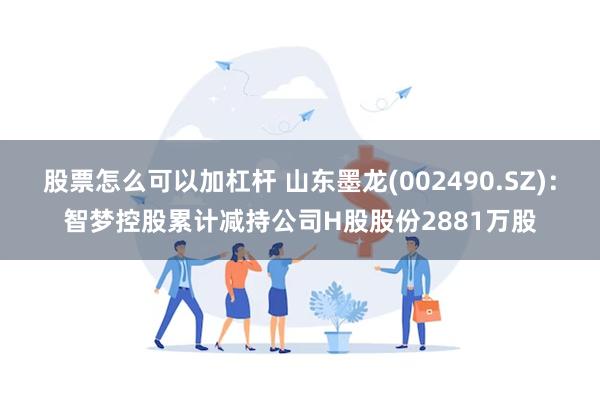 股票怎么可以加杠杆 山东墨龙(002490.SZ)：智梦控股