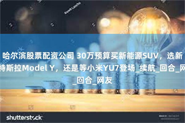 哈尔滨股票配资公司 30万预算买新能源SUV，选新款特斯拉M